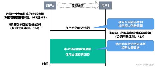 計算機網絡開發與服務中的網絡安全 守護數字世界的基石